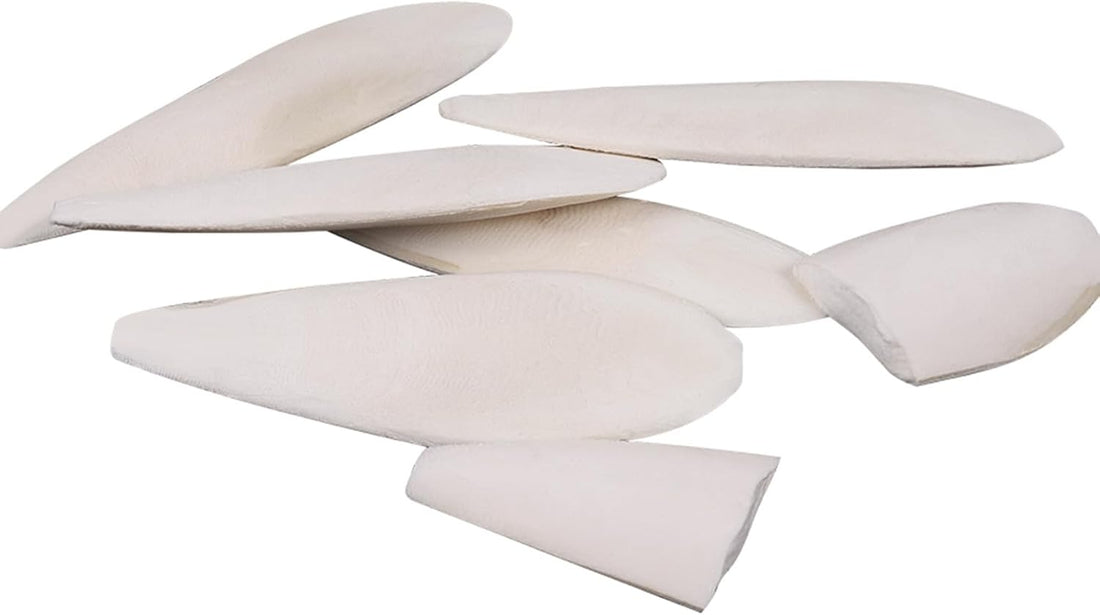 Cuttlebone for Birds 6 Pcs Large Natural Cuttlefish Bone for Parakeets