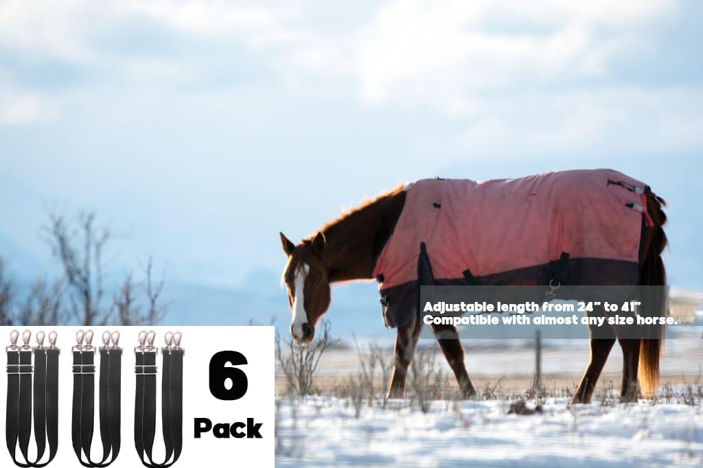 Pack of 6 Adjustable Length Elastic Leg Straps for Horse