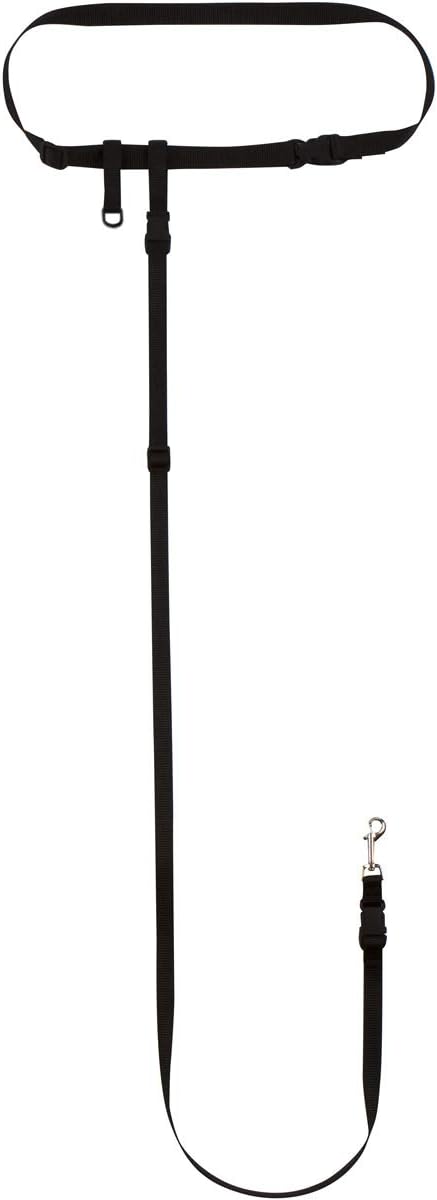 The Buddy System - Hands Free Dog Leash - Small Dog, Large Belt