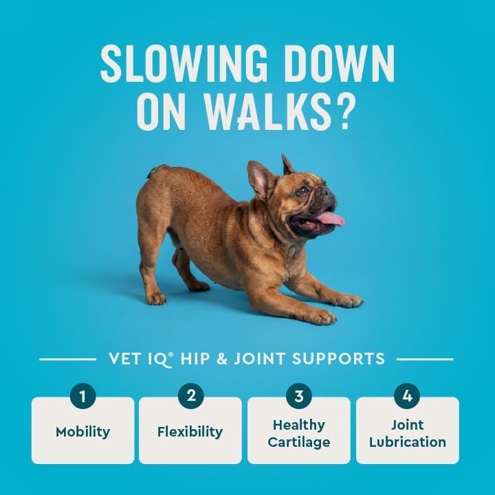 VetIQ Advanced Hip & Joint Chews For Dogs, 60 Count