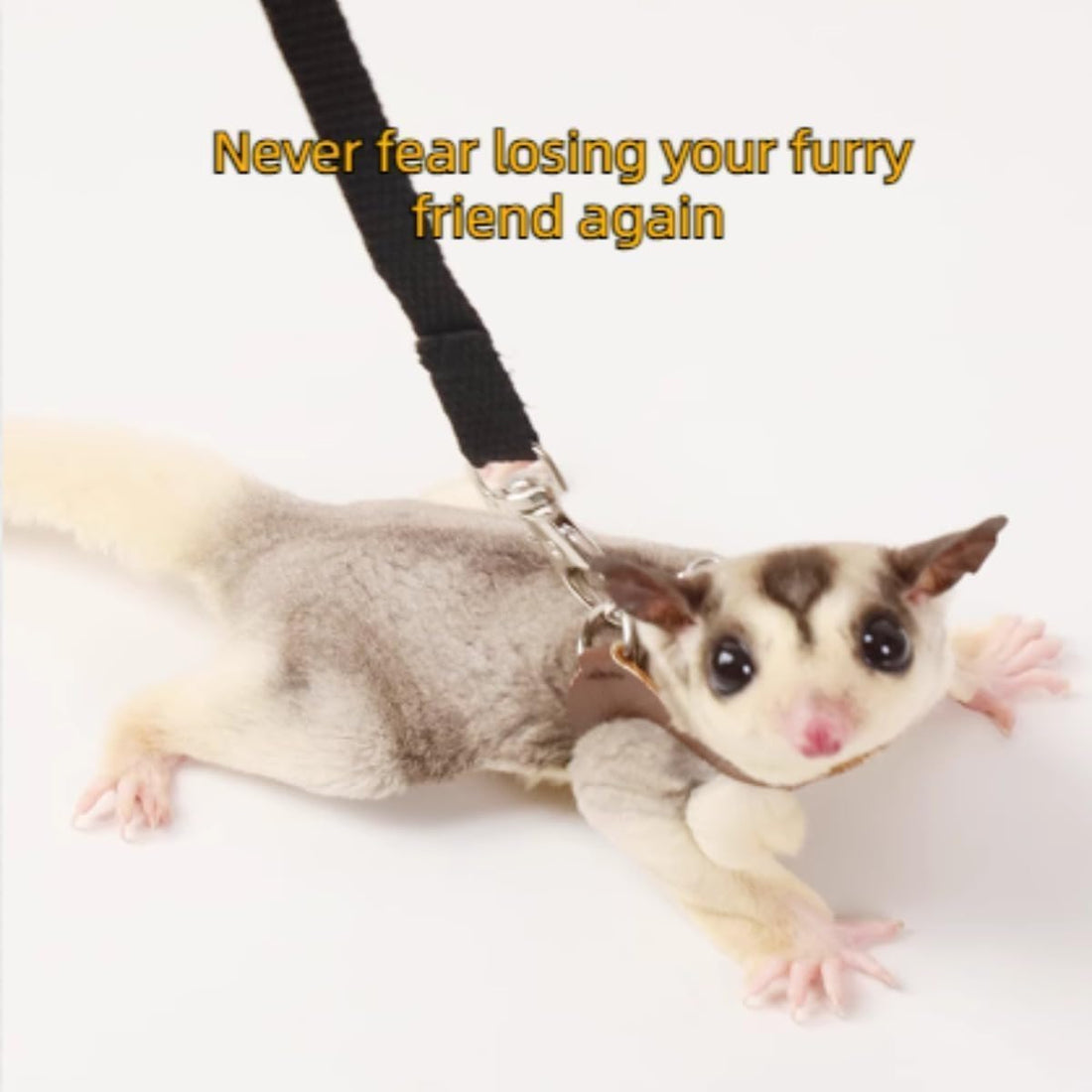 MANON ROSA Sugar Glider Harness and Leash Set, Adjustable 3 Pcs Vest