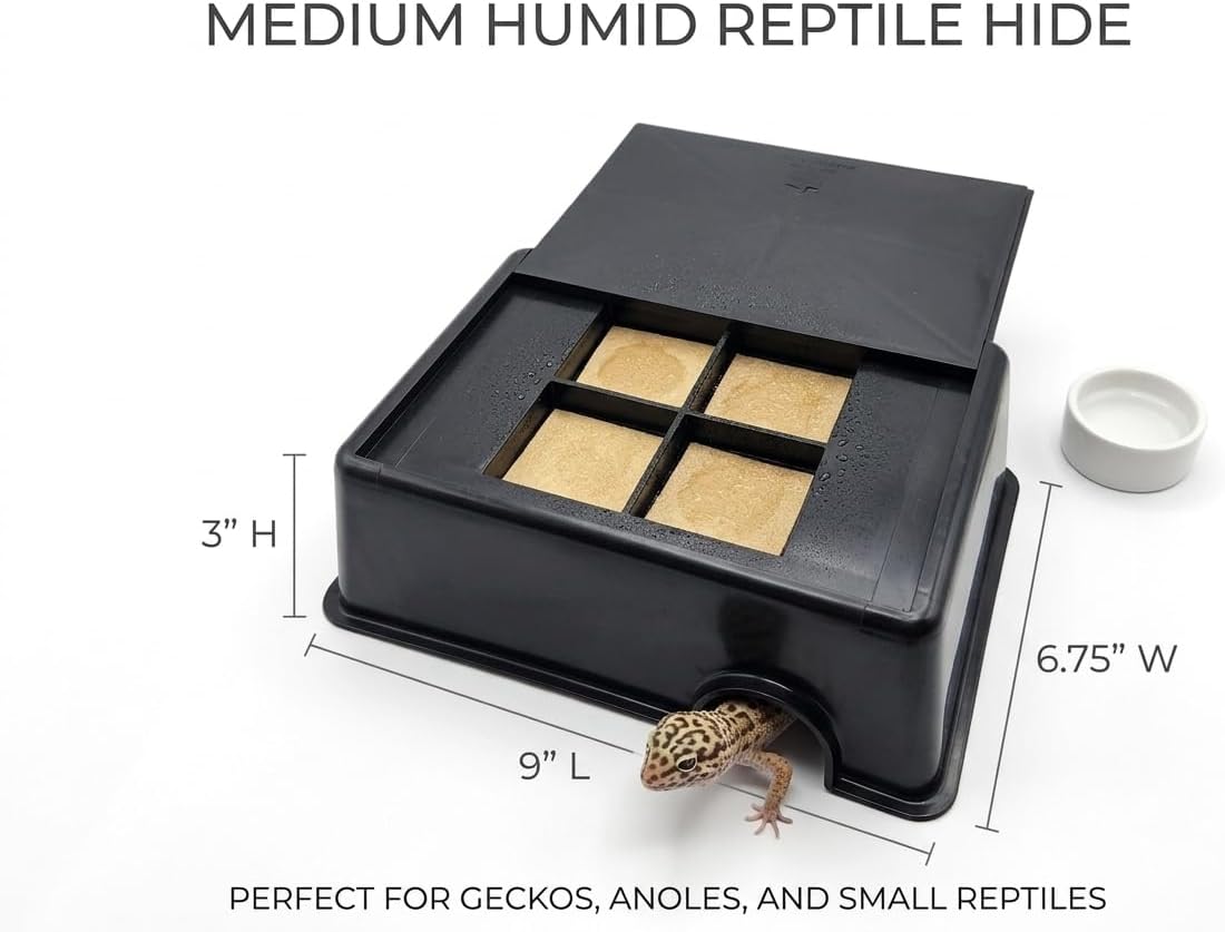 Medium Humid Hide for Bearded Dragon, Corn Snake, Ball Python