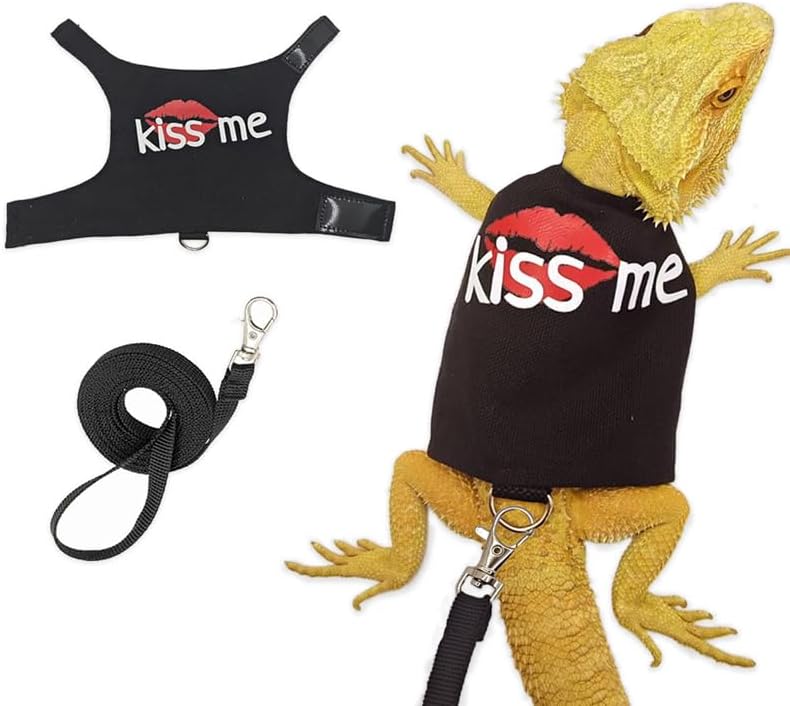 Bearded Dragon Leash and Harness Adjustable