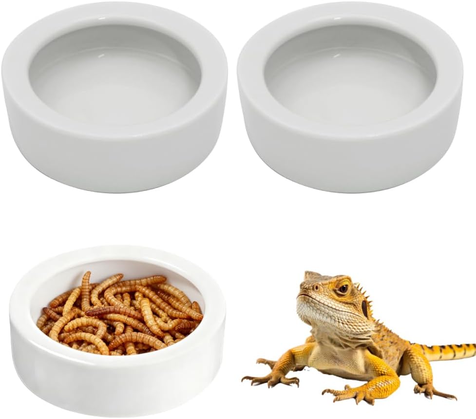 Escape-Proof Reptile Food Dish Bowl