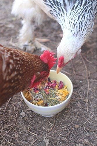 Pampered Chicken Mama Nesting Herbs for Chickens