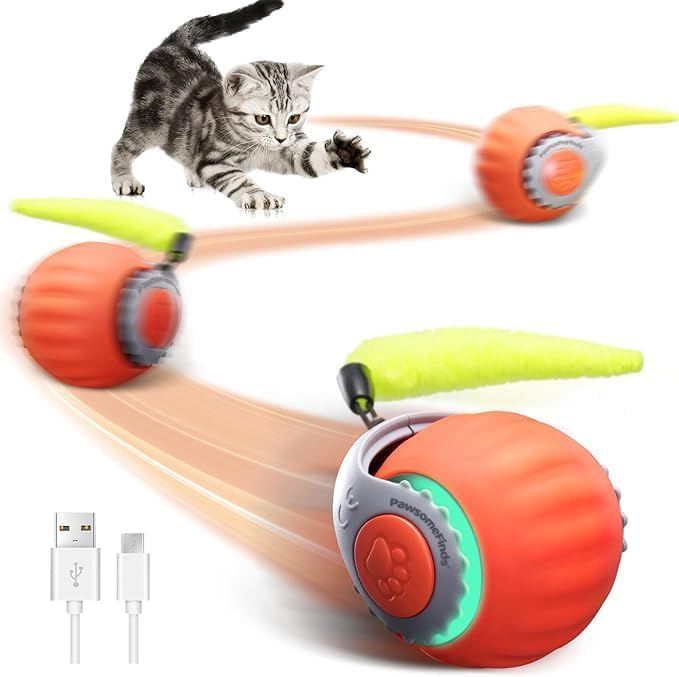 Interactive Cat Toy, 2-Speed Auto Ball, USB-C Rechargeable