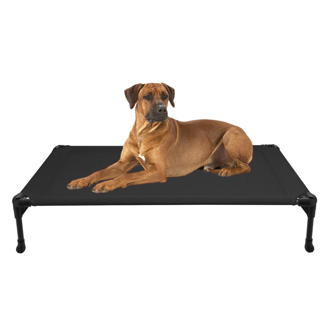 Veehoo Outdoor Elevated Dog Bed Large Sized Dogs