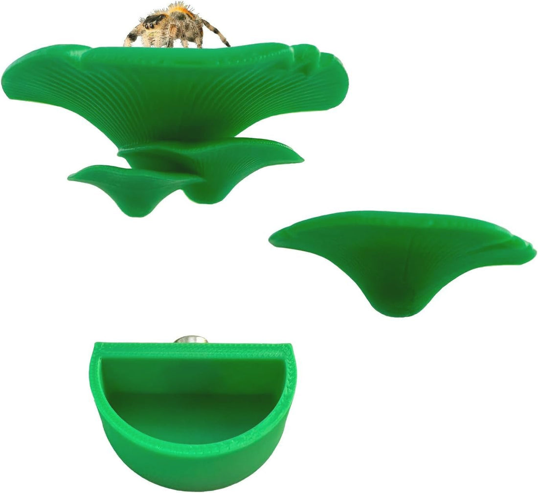 2 Pack Jumping Spider Accessories Mushroom Ledges & 1 Pack Water Bowl