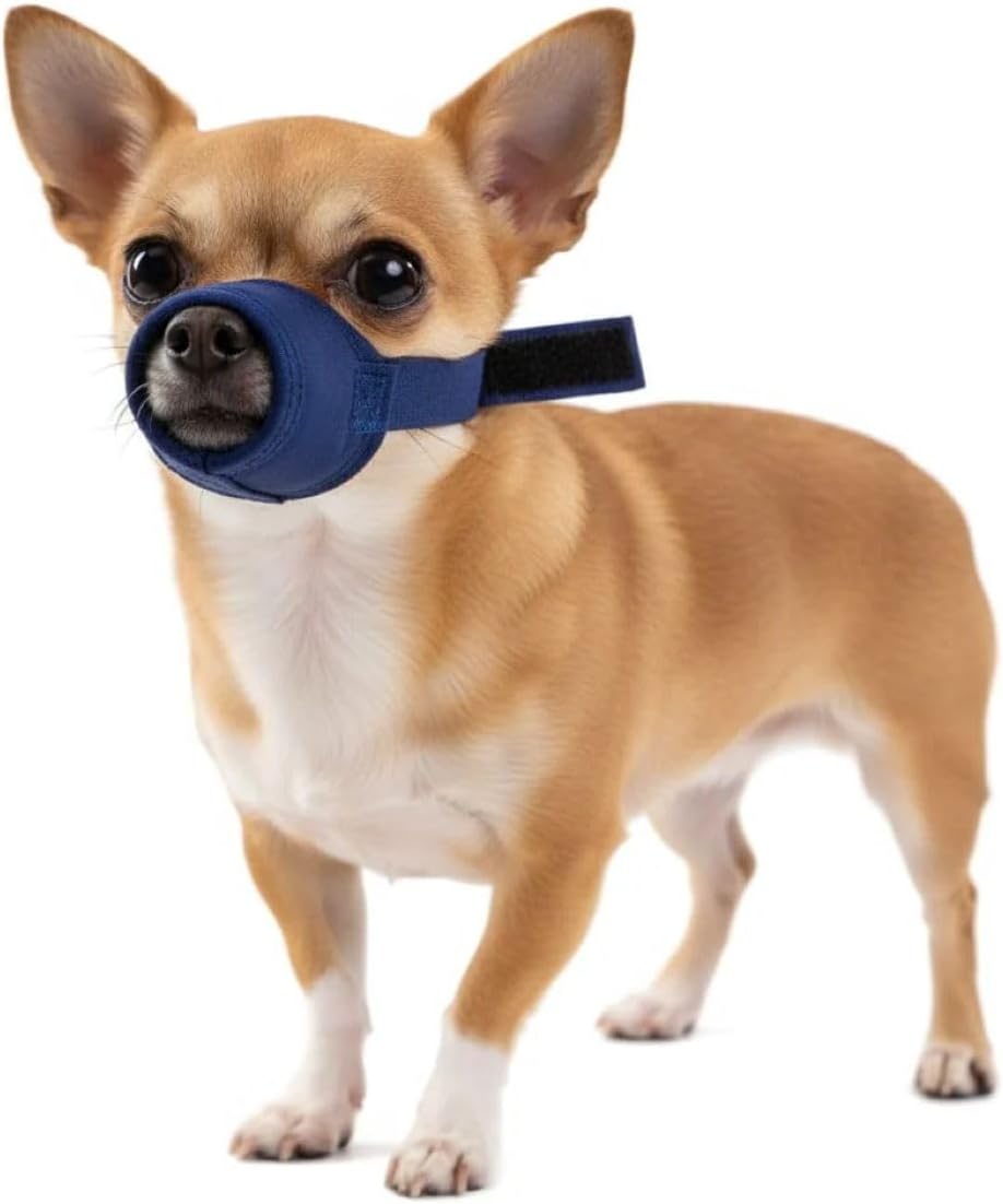 Four Flags Quick Muzzle