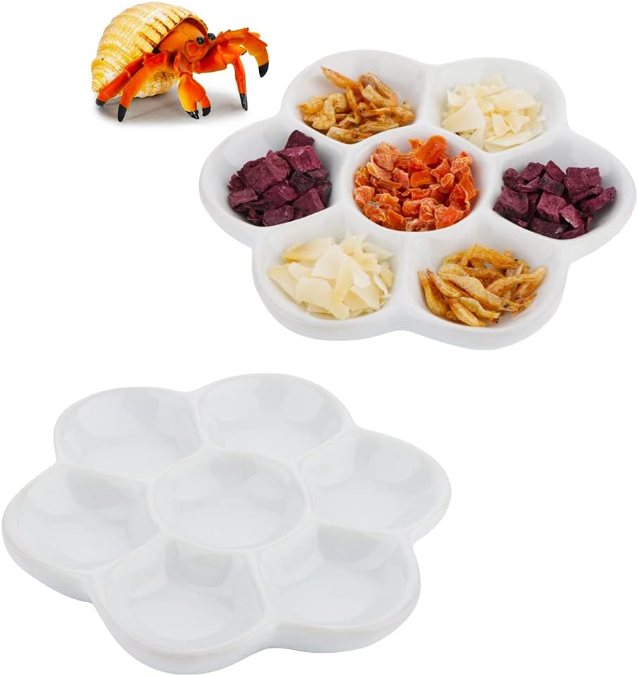 DQITJ 2 Pcs Hermit Crab Ceramic Food Dish