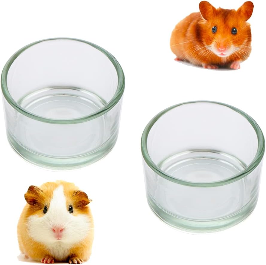 2 Pcs Hamster Food and Water Bowl Glass Anti-Turning Transparent Dish