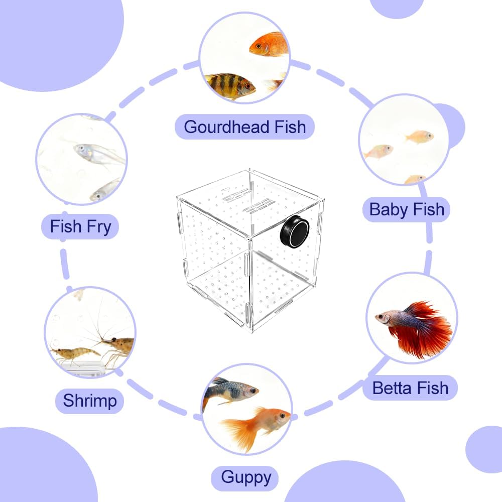 Fish Breeding Box, Acrylic Fish Isolation Container Aquariums