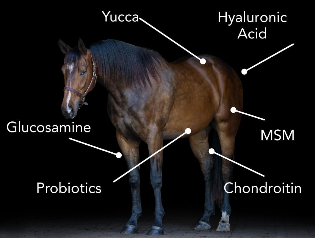 Senior-Flex H/A Senior Horse Joint