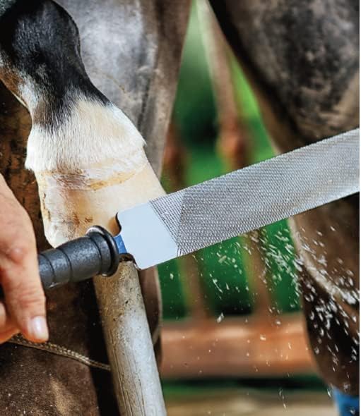 heller Farrier Hoof Rasp Excel 14in