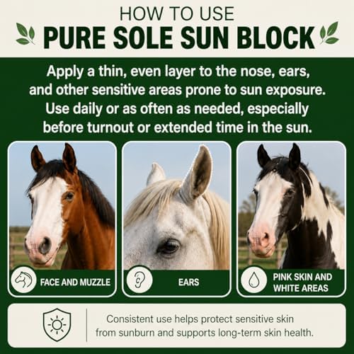 Horse Skin Summer Protection Bundle