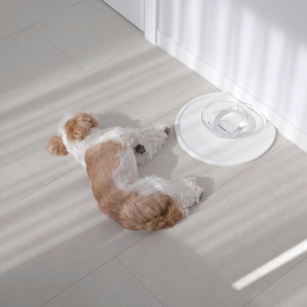 Stone Dry Mat for Pets, Absorbent Pet Feeding Mat for Food