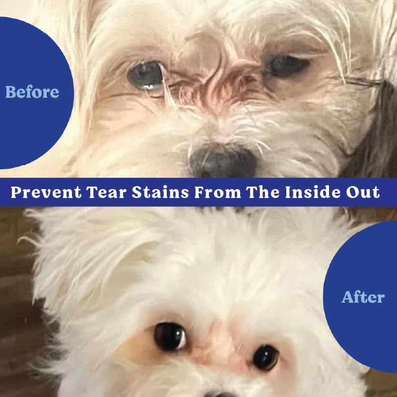 Angels' Eyes Tear Stain Prevention Soft Chews for Dogs
