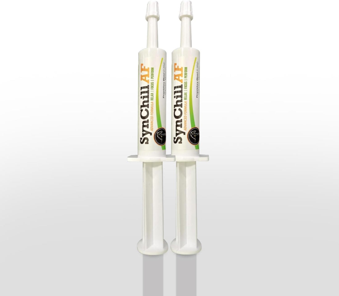 SynNutra Equine SynChill AF Horse Calming Supplement Gel, 3 Pack