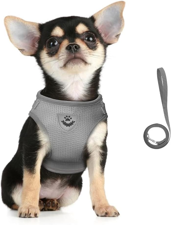 FEimaX Dog Harness and Leash Set for Walking