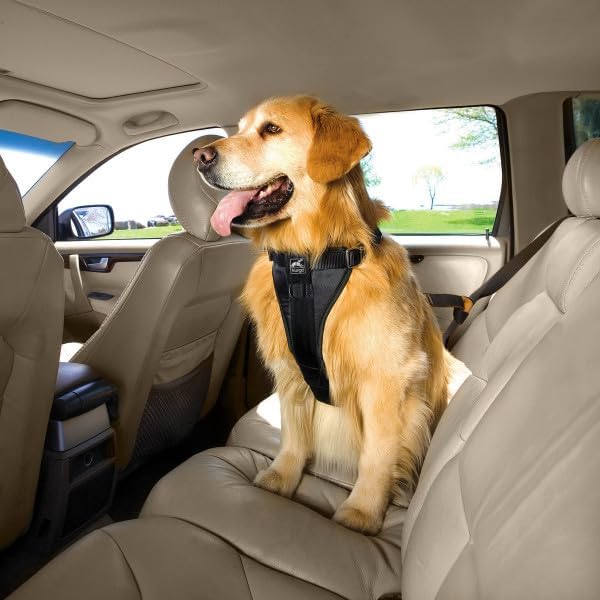 Kurgo Tru-Fit Enhanced Strength Dog Car Harness