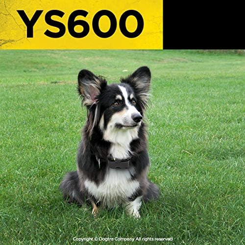 Dogtra YS600 No Bark Collar for Large Dogs 35 lbs and Up