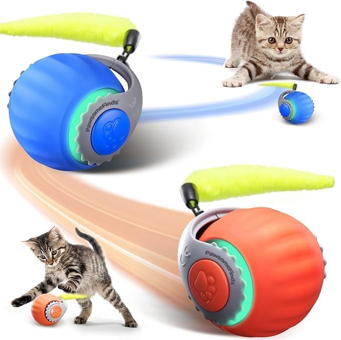Interactive Cat Toy, 2-Speed Auto Ball, USB-C Rechargeable