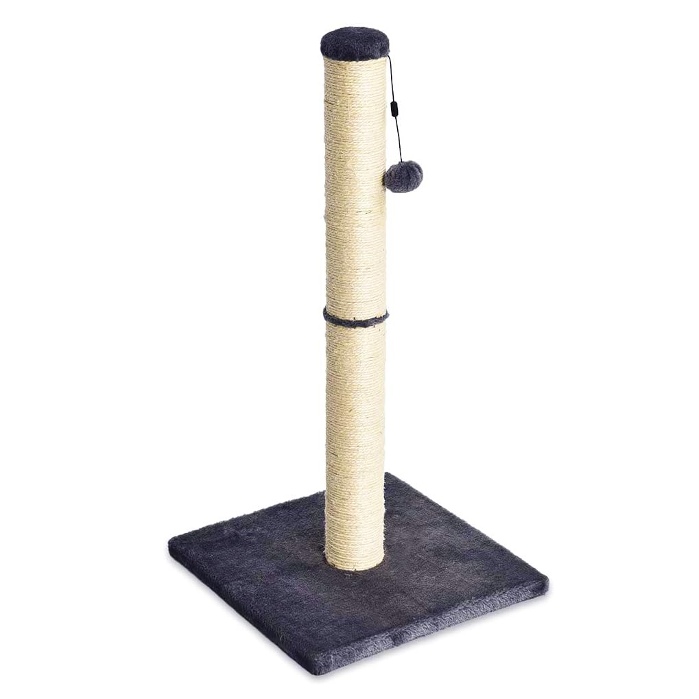Cat Scratching Post for Indoor Cats & Kittens, Medium