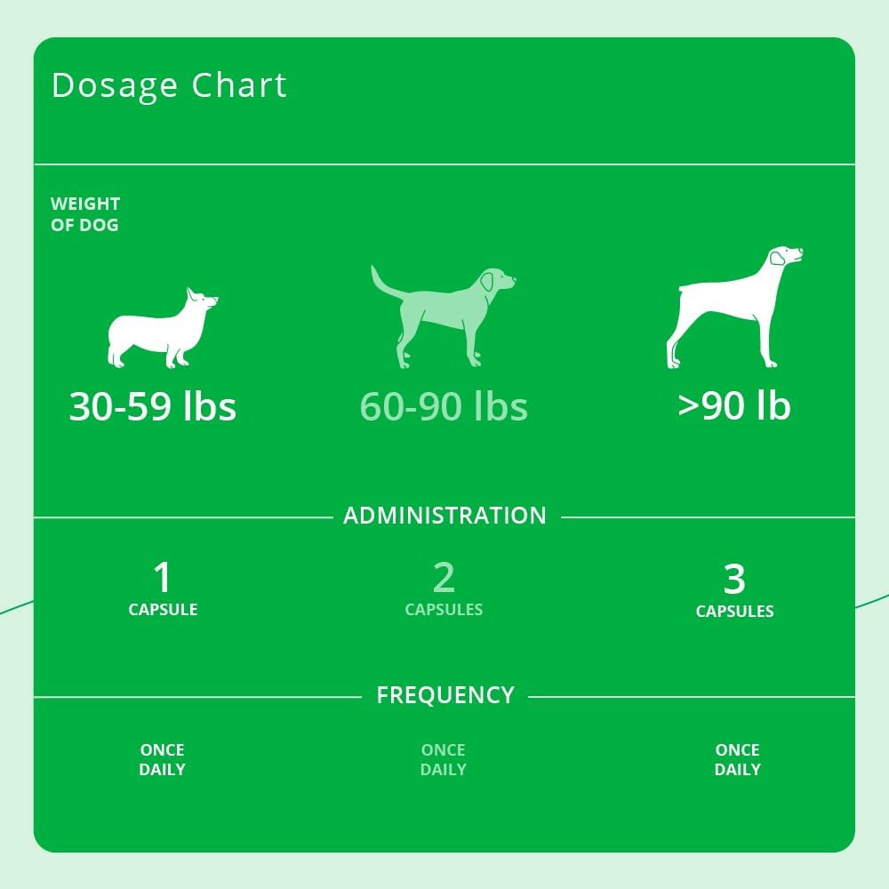 Eicosa3FF SnipCaps Omega 3 Free Fatty Acid Capsules for Dogs - Large