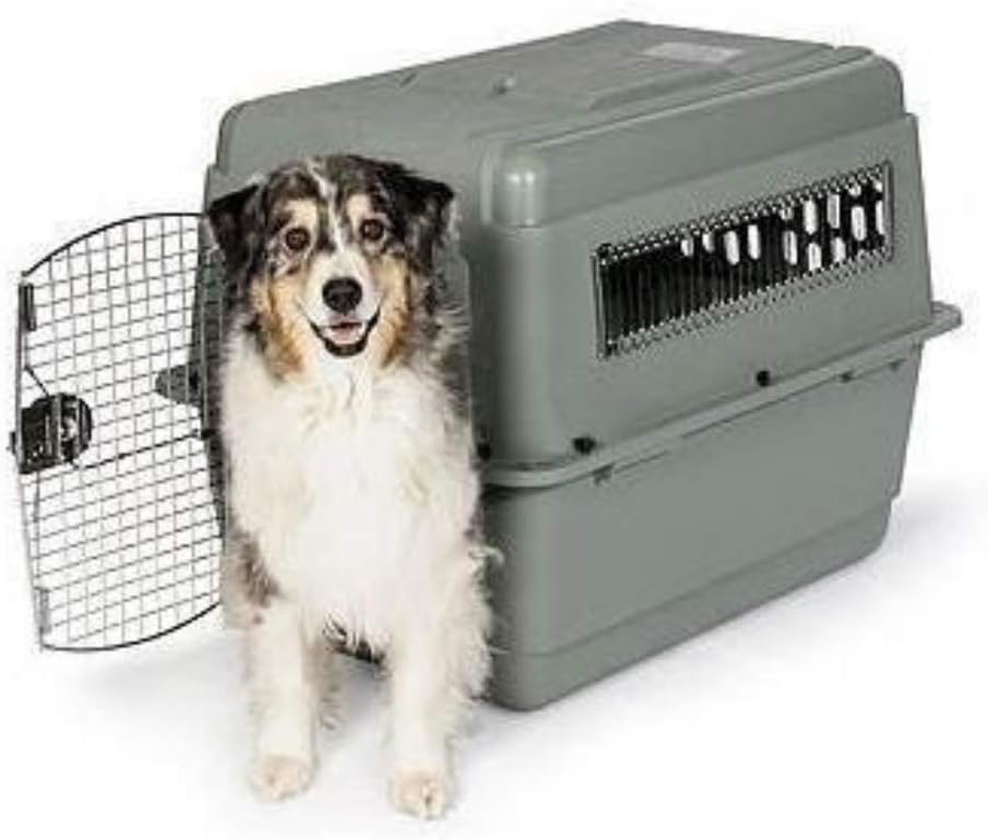 Petmate Sky Kennel Pet Carrier and Petmate 290300 Kennel Travel Kit