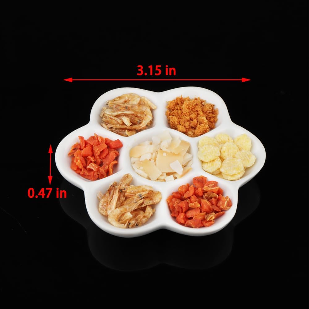 DQITJ 2 Pcs Hermit Crab Ceramic Food Dish