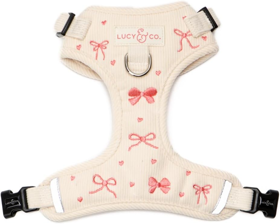 Lucy & Co. Appley Ever After Corduroy No-Pull Dog Harness, XL