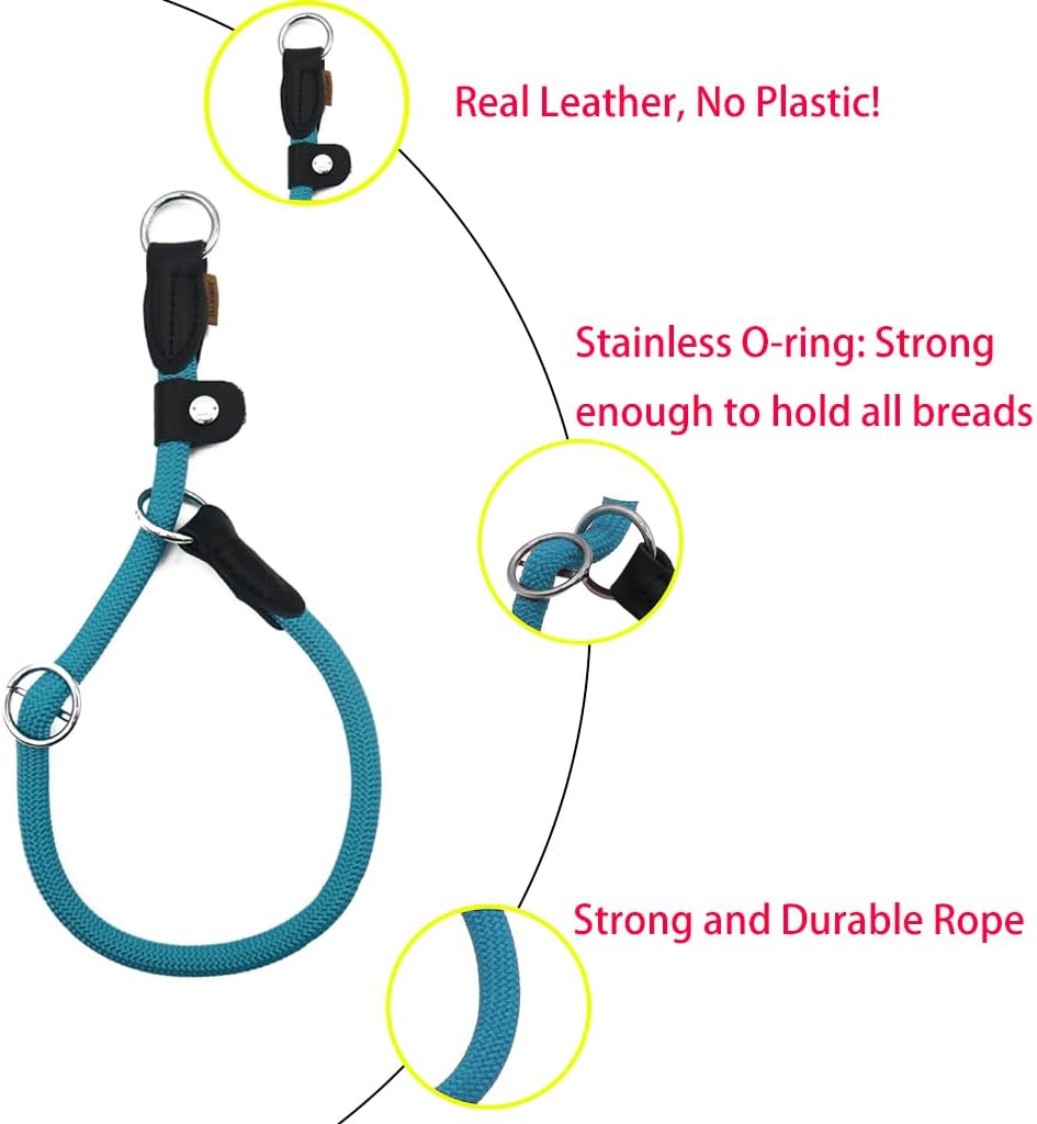 Braided Round Martingale Dog Collar
