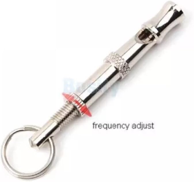 F-P 2pc Silver Whistle for Bird/Pigeon Parrot Pet Training Feeding