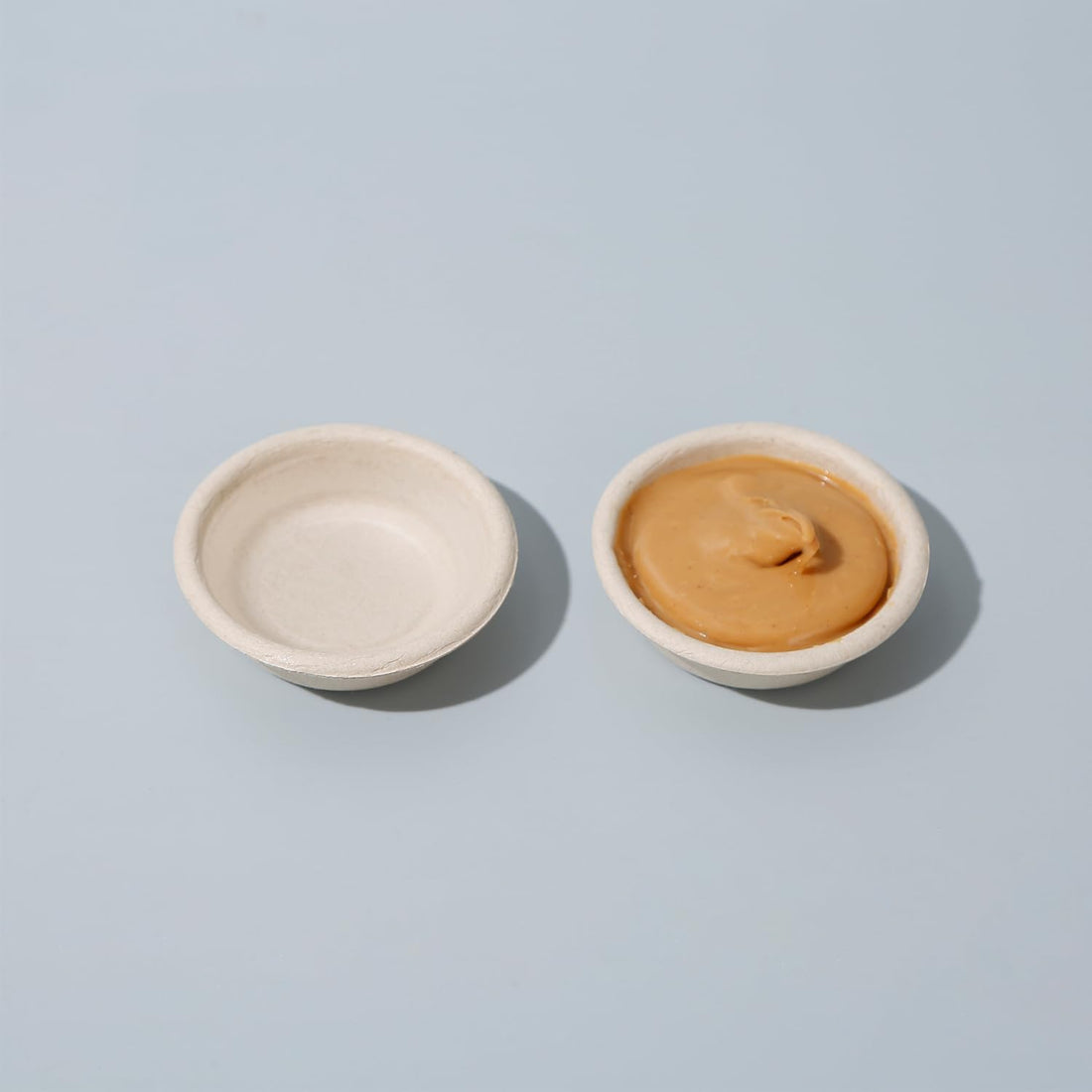 Paper Gecko Feeding Cups, Paper Bowls Reptiles Food and Water Feeder