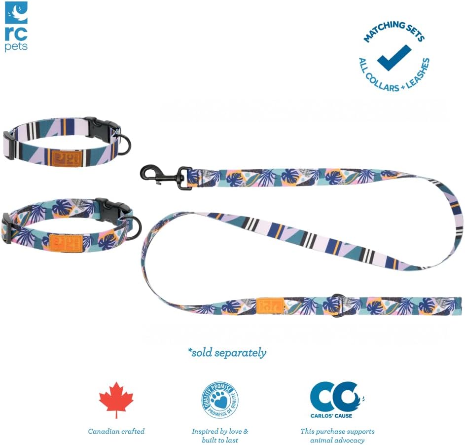 RC Pets Eco Clip Collar, 1-Inch
