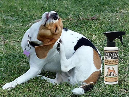 BANIXX Horse and Pet Care Spray for Horses, Dogs and Cats
