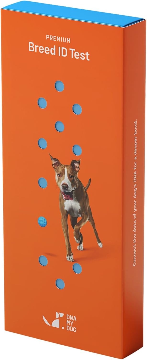 DNA My Dog Premium Dog DNA Test – Identify 350+ Breeds