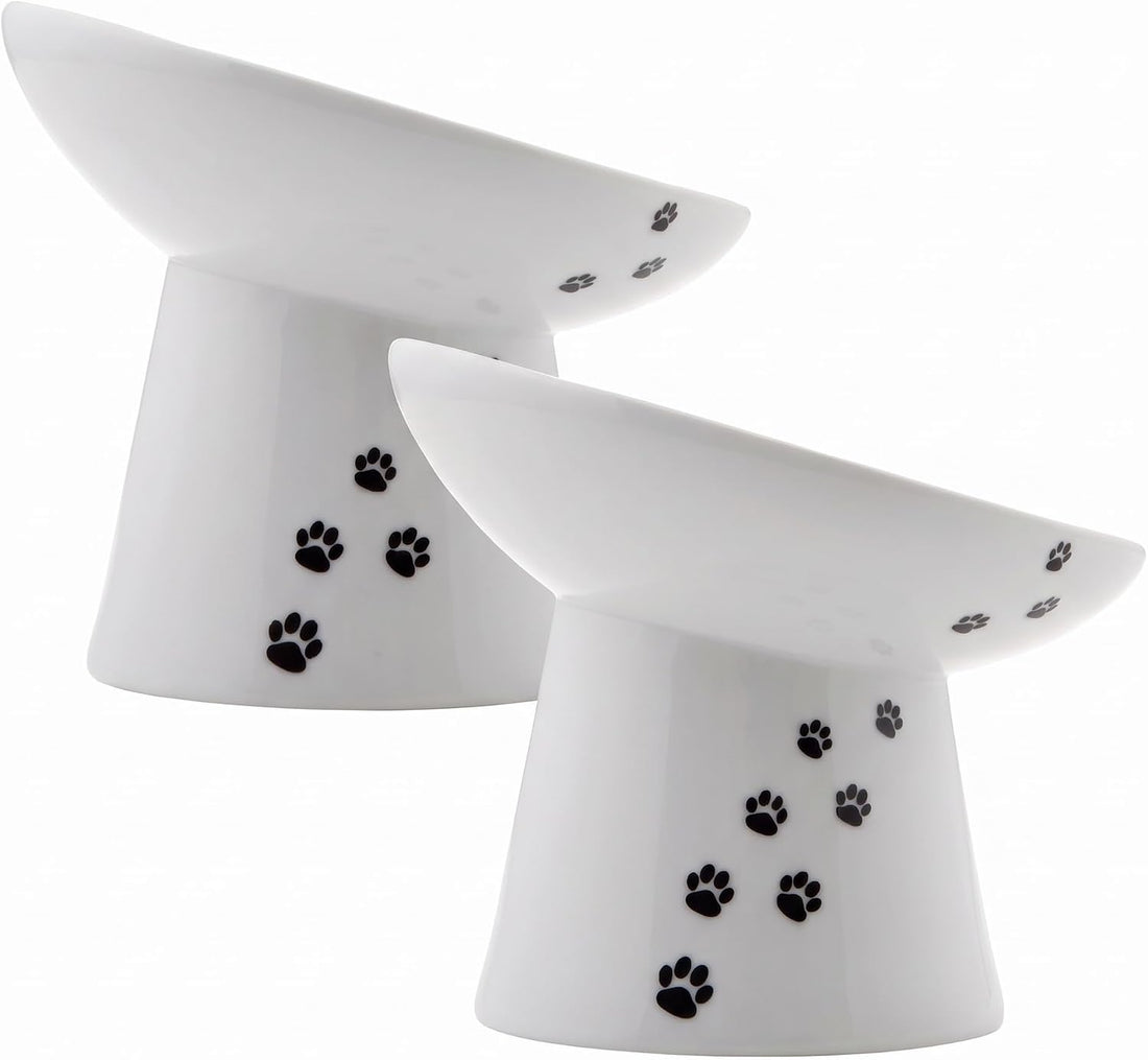 Necoichi Raised Dog Food Bowl, 15° Tilted (Dog, Extra Wide Tilted)
