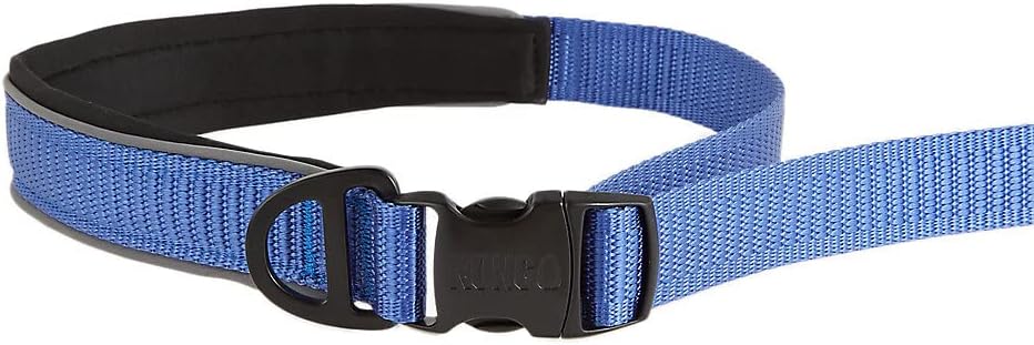 KONG Reflective Shock Absorbing Hands-Free Bungee Dog Leash 6' (Blue)