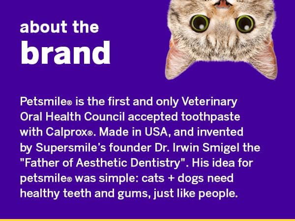 Petsmile VOHC Accepted Pet Toothpaste, London Broil 4.2 Oz