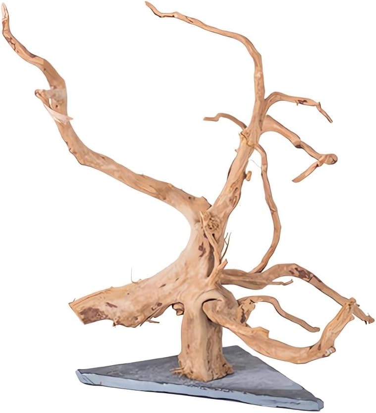 AWXZOM Natural Large Spider Wood Driftwood for Aquarium, Terrarium