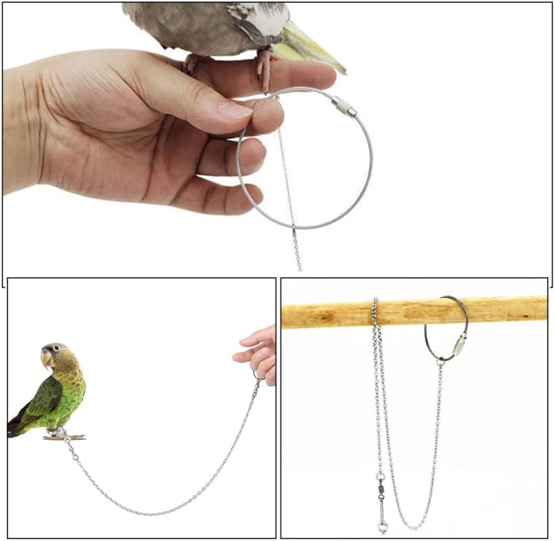 1Pc Bird Foot Chain Flying Stainless Steel Training Rope Outdoor