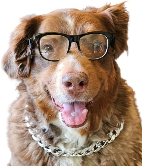 G003 Dog Pet Retro Glasses Hipster Nerd Costume Clear Lens Sunglasses
