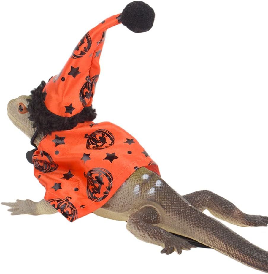 ADOGGYGO Halloween Christmas Bearded Dragon Costume Clothes, 2 Set