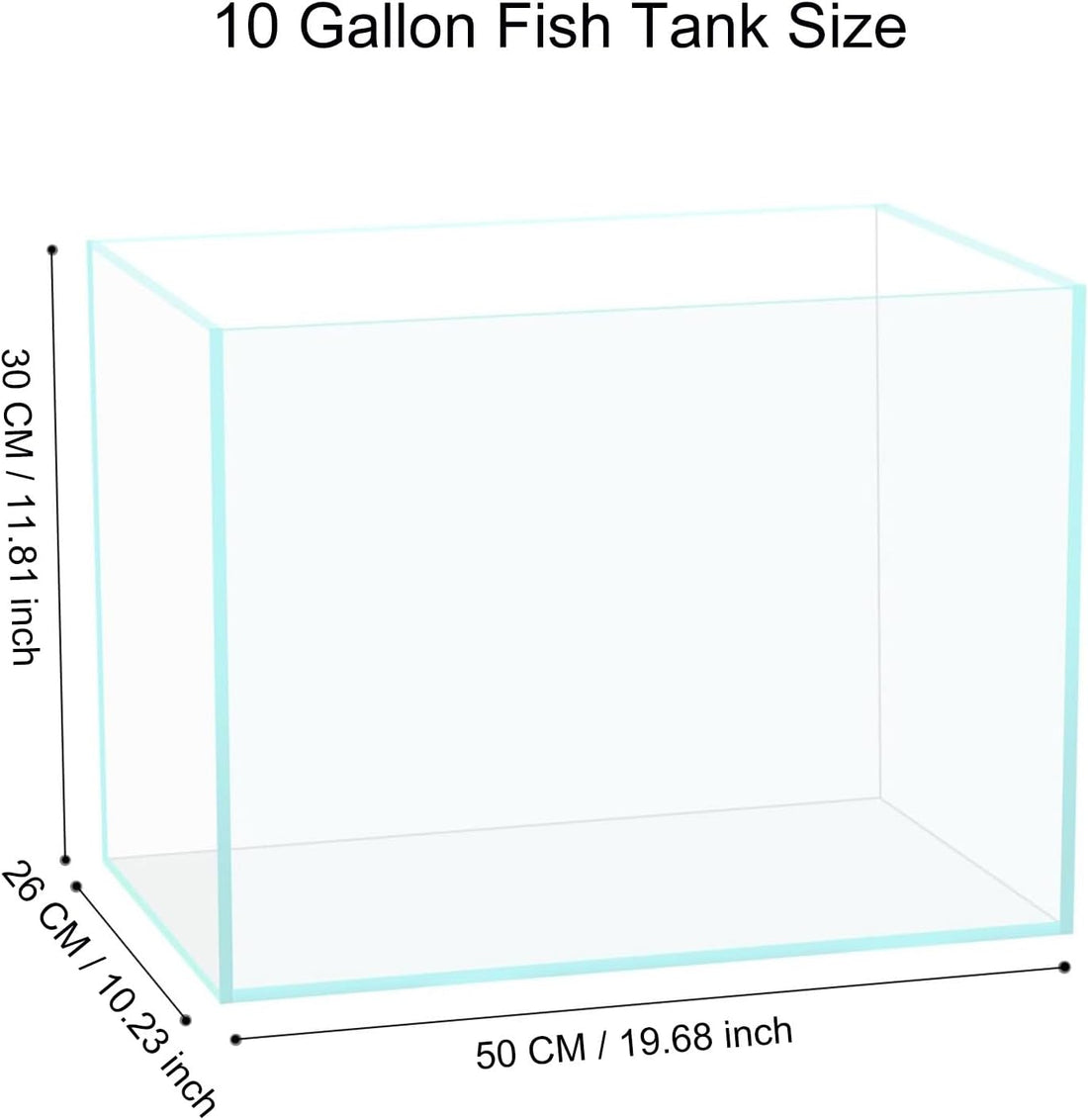 Vimvins 3 Gallon Glass Fish Tank