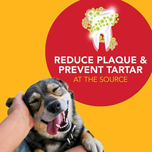 Petrodex Dog Dental Care Kit, Toothbrush & Toothpaste