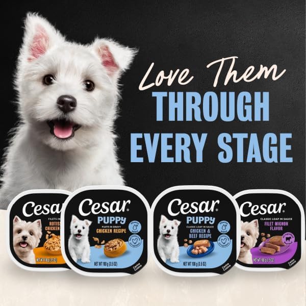 Cesar Puppy Wet Dog Food
