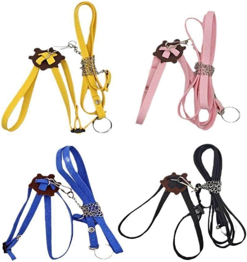 Tortoise Leash，Adjustable Control Rope Turtle Leash and Harness Pet
