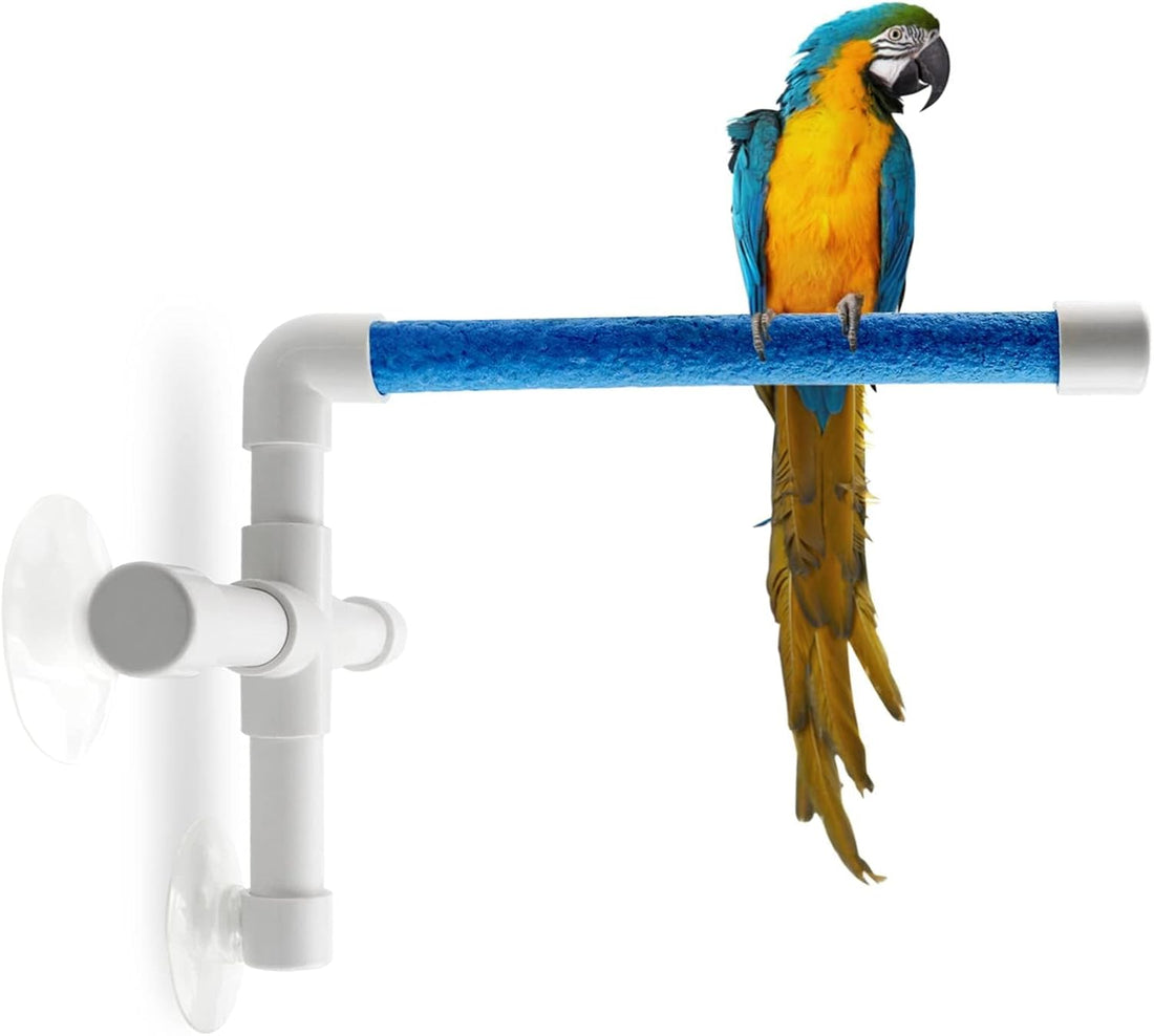 Bird Shower & Window Perch with Suction Cups