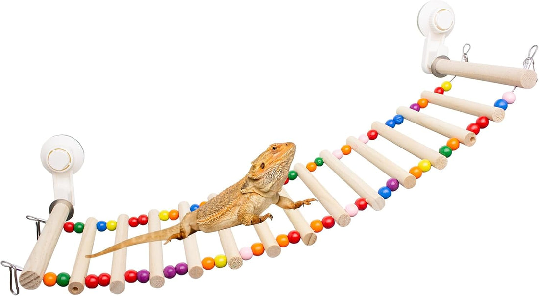 FlidRunest Bearded Dragon Window Ladder with 2 Sturdy Suction Cups